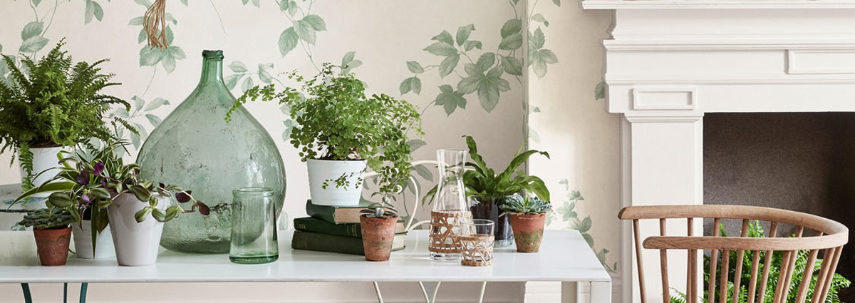 10 Beautiful Ways to Decorate with House Plants