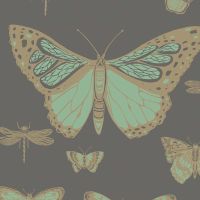 Butterflies & Dragonflies Wallpaper