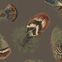 Birding Wallpaper