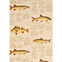 European Freshwater Fish Wallpaper