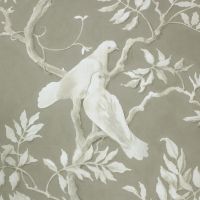 Doves Wallpaper