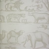 Ark Wallpaper