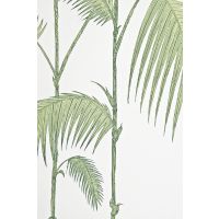 Sample-Palm Wallpaper Sample
