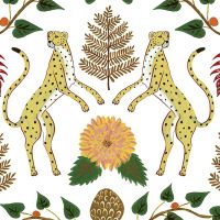 Cheetahs Wallpaper