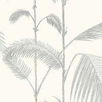 Palm Wallpaper