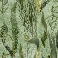 Aquatic Plants Wallpaper