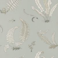 Ferns Wallpaper