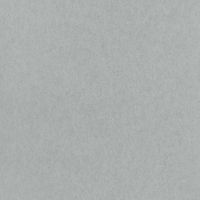 Chroma Wallpaper Plain Grey Matt