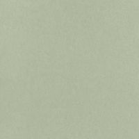 Chroma Wallpaper Plain Light Green