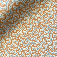 Dulcie Fabric