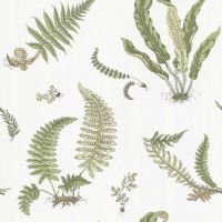 Green Fern Wallpaper