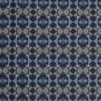 Palong Weave Fabric