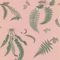 Pink Fern Wallpaper