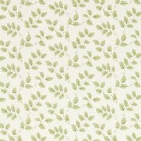 Tomato Leaf Wallpaper