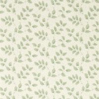 Tomato Leaf Wallpaper