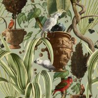 Tropical Bird Wallpaper