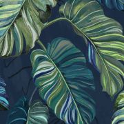 Carioca Wallpaper