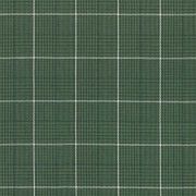 Green Check Fabric