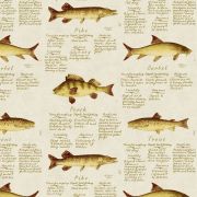 European Freshwater Fish Wallpaper