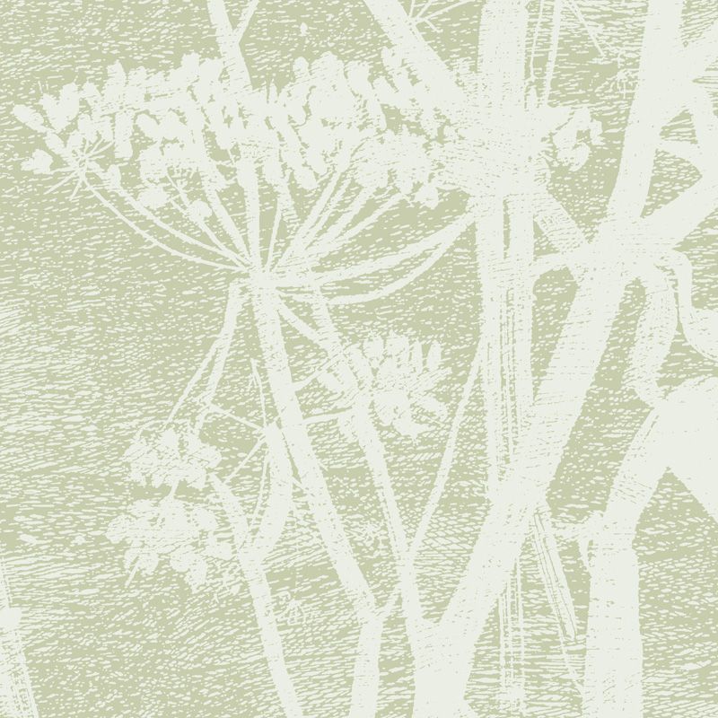 Cow Parsley Cole & Sons Icon Collection Sage Green Wallpaper