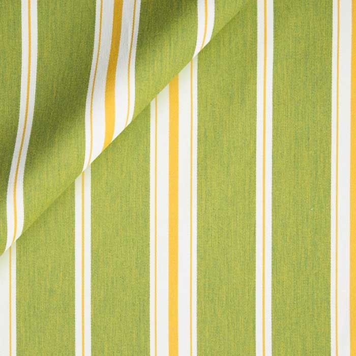 Corsica Stripe Fabric In Grass Green | Green Stripe Fabric