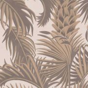 Hollywood Palm Wallpaper