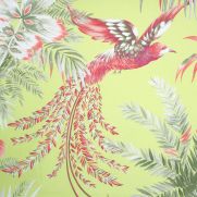Bird of Paradise Fabric