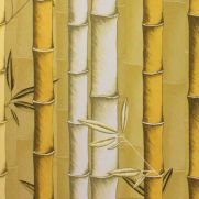 Bamboo Cane Wallpaper