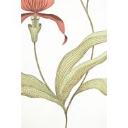 Sample-Orchid Floral Wallpaper Restyled Sample