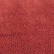 Kuri Velvet Fabric