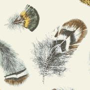 Sample-Birding Wallpaper Sample