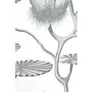 Summer Lily Wallpaper