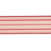 Sample-Preston Silk Stripe Braid Sample