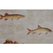 Sample-European Freshwater Fish Wallpaper Sample