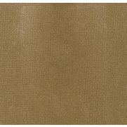 Sample-Safari Plain Velvet Sample