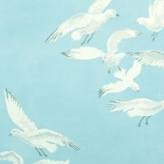 Seagulls Wallpaper