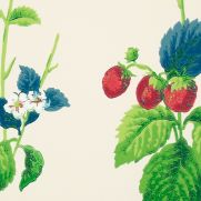 Sample-Summer Strawberries Wallpaper Sample