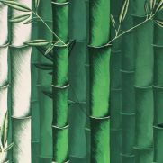 Sample-Bamboo Cane Wallpaper Sample