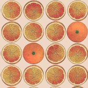 Arance Wallpaper Orange