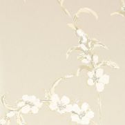 Japonica Wallpaper