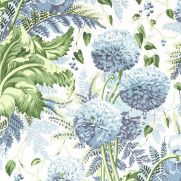 Dahlia Wallpaper