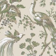 Peacock Toile Wallpaper