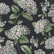 Ramo Di Ortensia Wallpaper