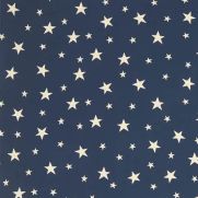 Willa Star Jacquard Fabric