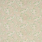 Sample-Canya Embroidery Fabric Sample