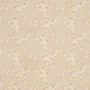 Sample-Canya Embroidery Fabric Sample