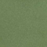 Chroma Wallpaper Plain Green Matt