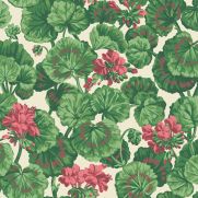 Cole and Son Floral Wallpaper