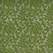 Donwell Velvet Fabric Green