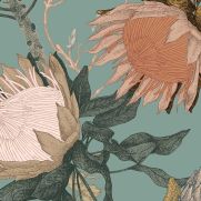 Sample-Proteas Dream Wallpaper Sample